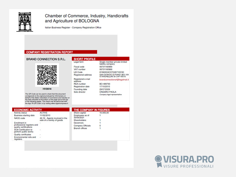Visura Camerale Inglese