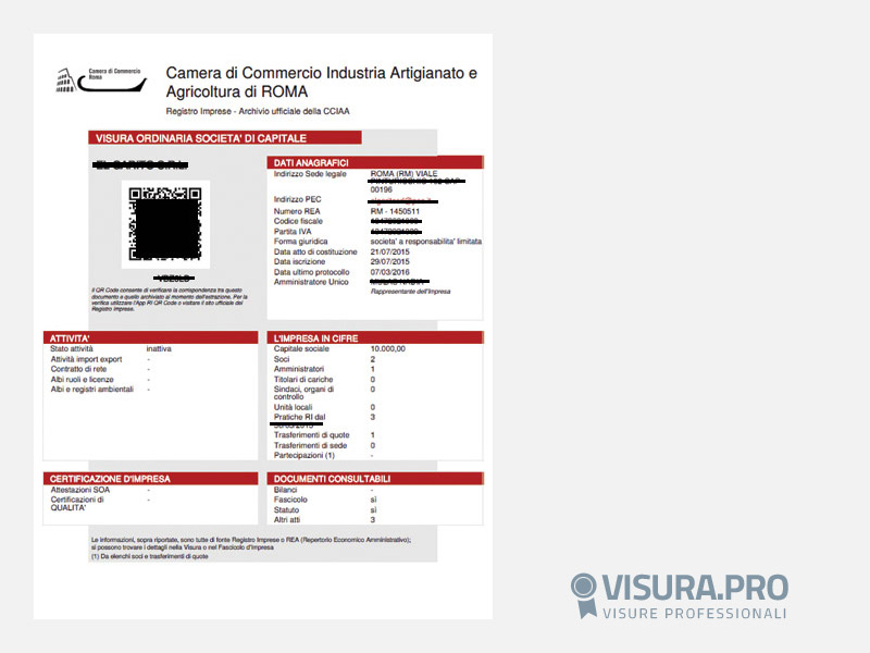 Visura Camerale Ordinaria - Imprese Individuali