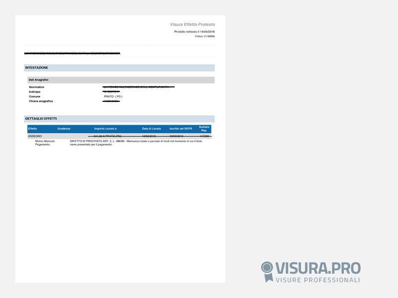 Visura Protesti Società